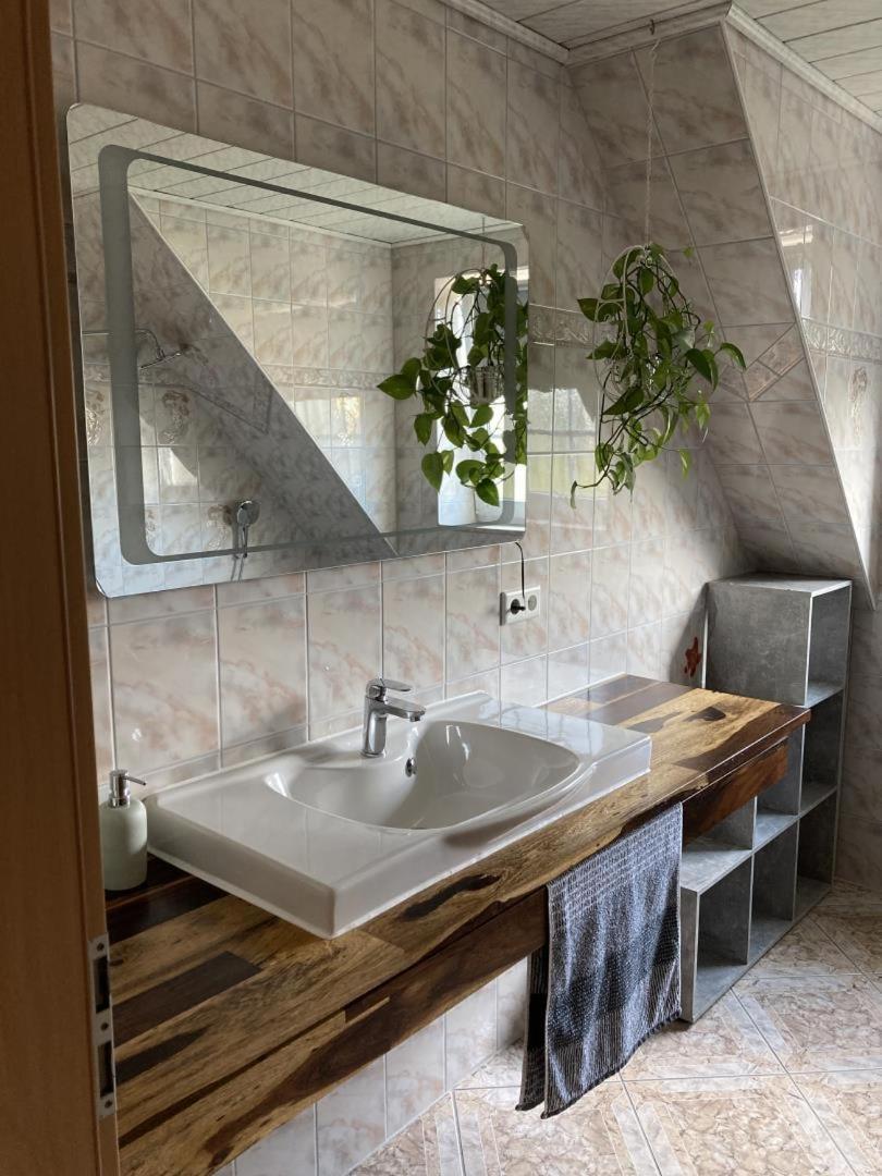 Neu Ferienwohnung Hofmann هوسوم المظهر الخارجي الصورة